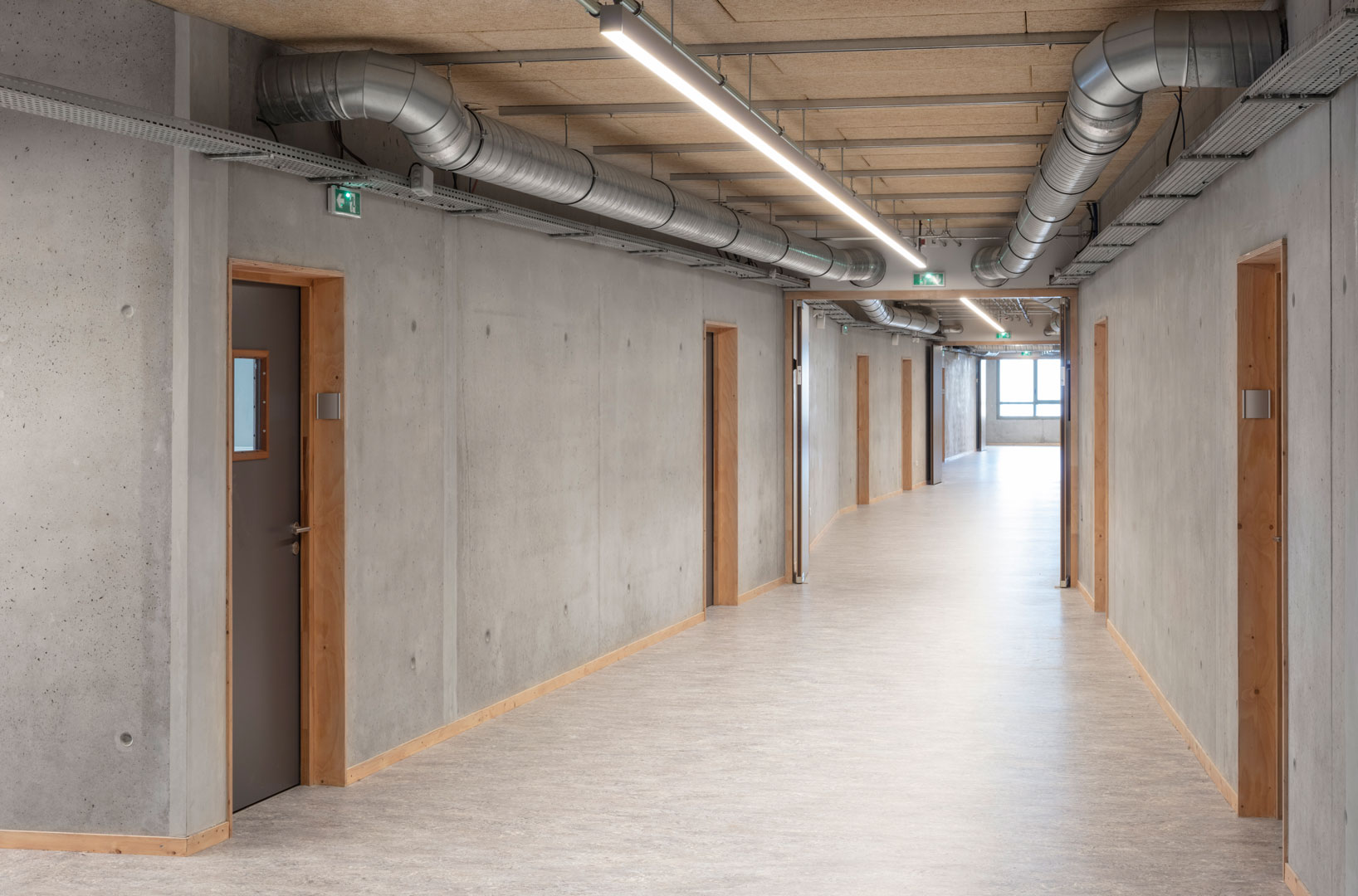 ANMA Villeurbanne Lycée Pierre Brossolette